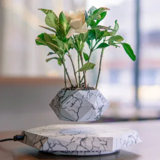 Levitating Plant Pot Marble Colour Floating Planter Magnetic